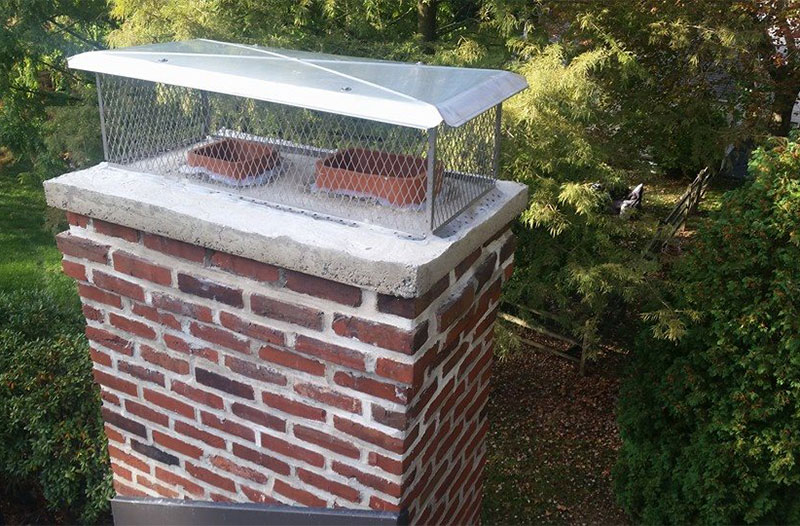 Multi-Flue Cap on chimney with cage to keep out critters and trees in the background.